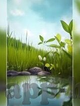 成人激情免费在线视频-点燃生活的火花，成人激情视频的多元视角与影响