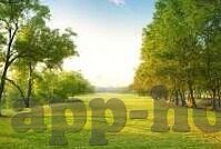 福利一区福利二区bt7086-探索网络福利区的多元魅力，福利一区、福利二区与bt7086的独特视角