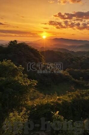 果冻传媒怎么进-探索果冻传媒的进入之道，解锁数字娱乐新篇章
