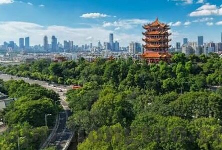 韩国伦理小说-韩国伦理小说的独特魅力，人性深处的探索与反思