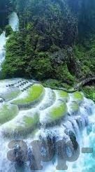 交换的年轻夫妇中文字幕-交换的年轻夫妇，一场关于爱与成长的旅程