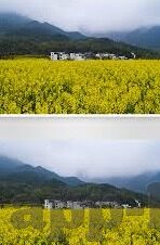 麻豆传媒!-麻豆传媒，引领行业创新的数字内容先锋