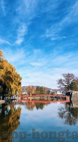 免费人妻无码不卡中文字幕18禁-成人内容与网络伦理的边界探讨