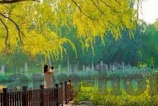 swag麻豆自制剧情国产app-创意与自由，探索SWAG麻豆自制的国产APP的独特魅力与文化