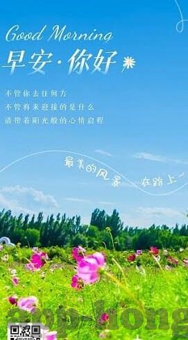 糖心vlog激活码-探索糖心Vlog的奥秘，激活码的背后故事