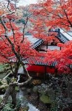 糖心直播网站app-探究糖心直播app平台的用户体验与设计特点