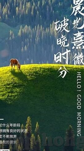 亚洲一日韩欧美中文字幕在线-跨越文化边界，亚洲一日韩欧美中文字幕在线的多元视角探索